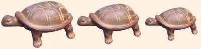 Juego Tortuga